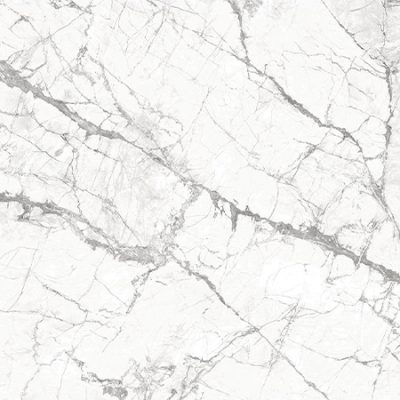 Invisible White